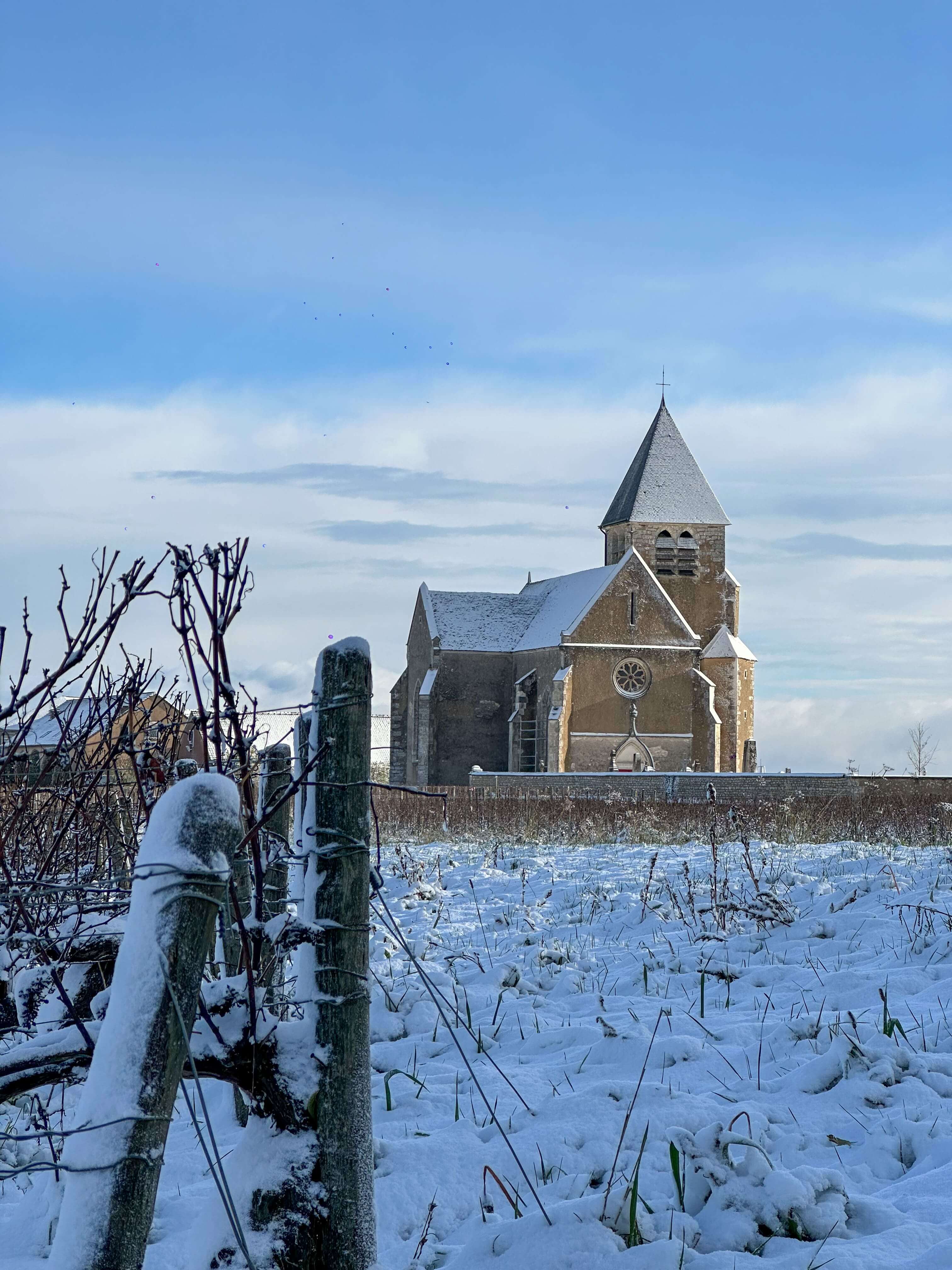 Image of Collection hiver