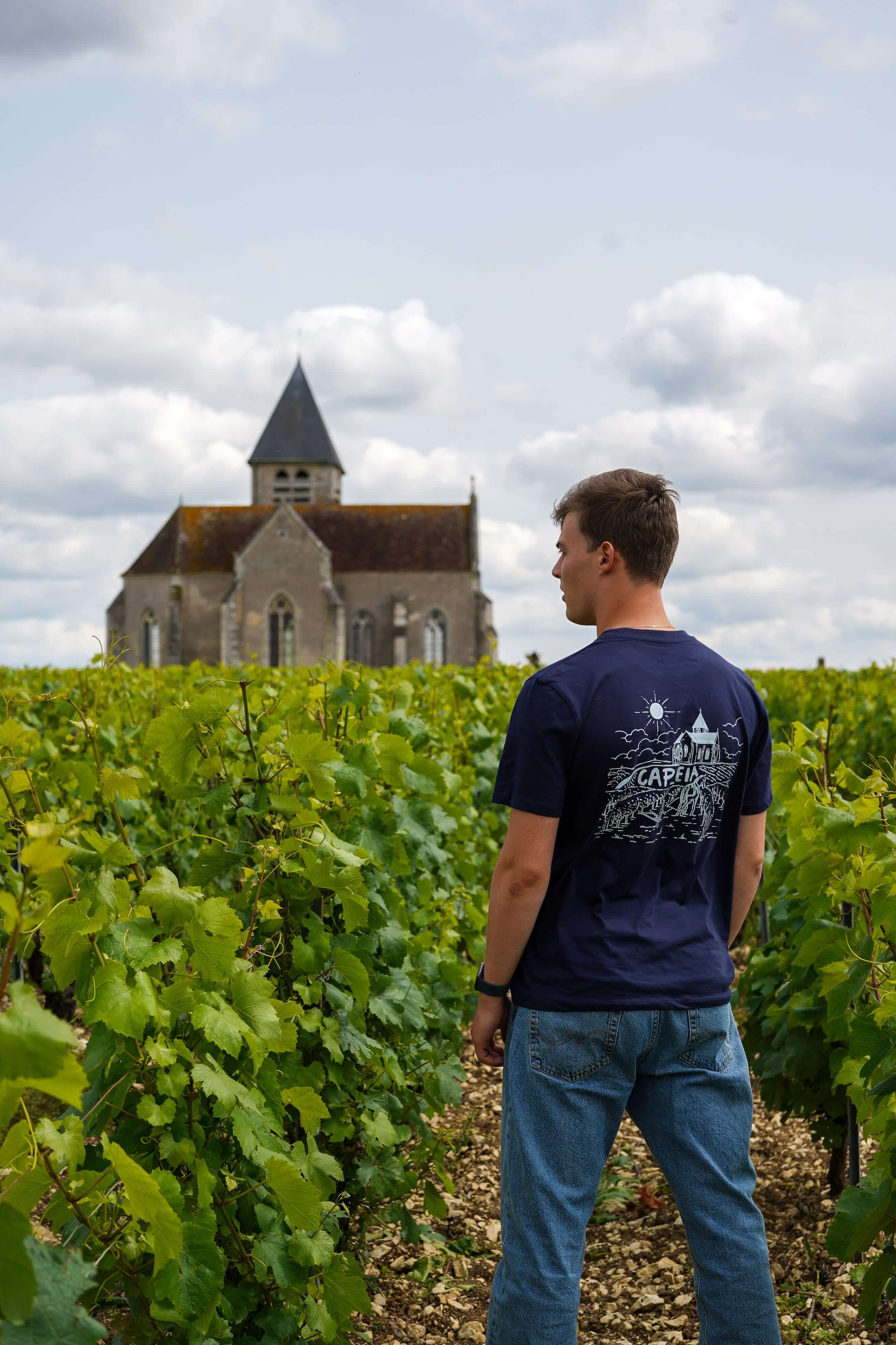 Image of Le premier labour