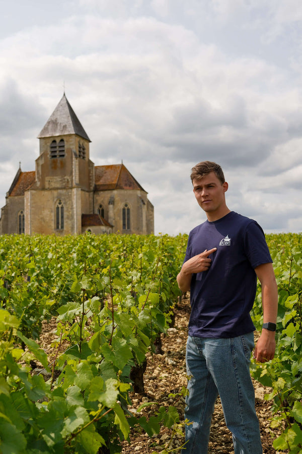 Le premier labour