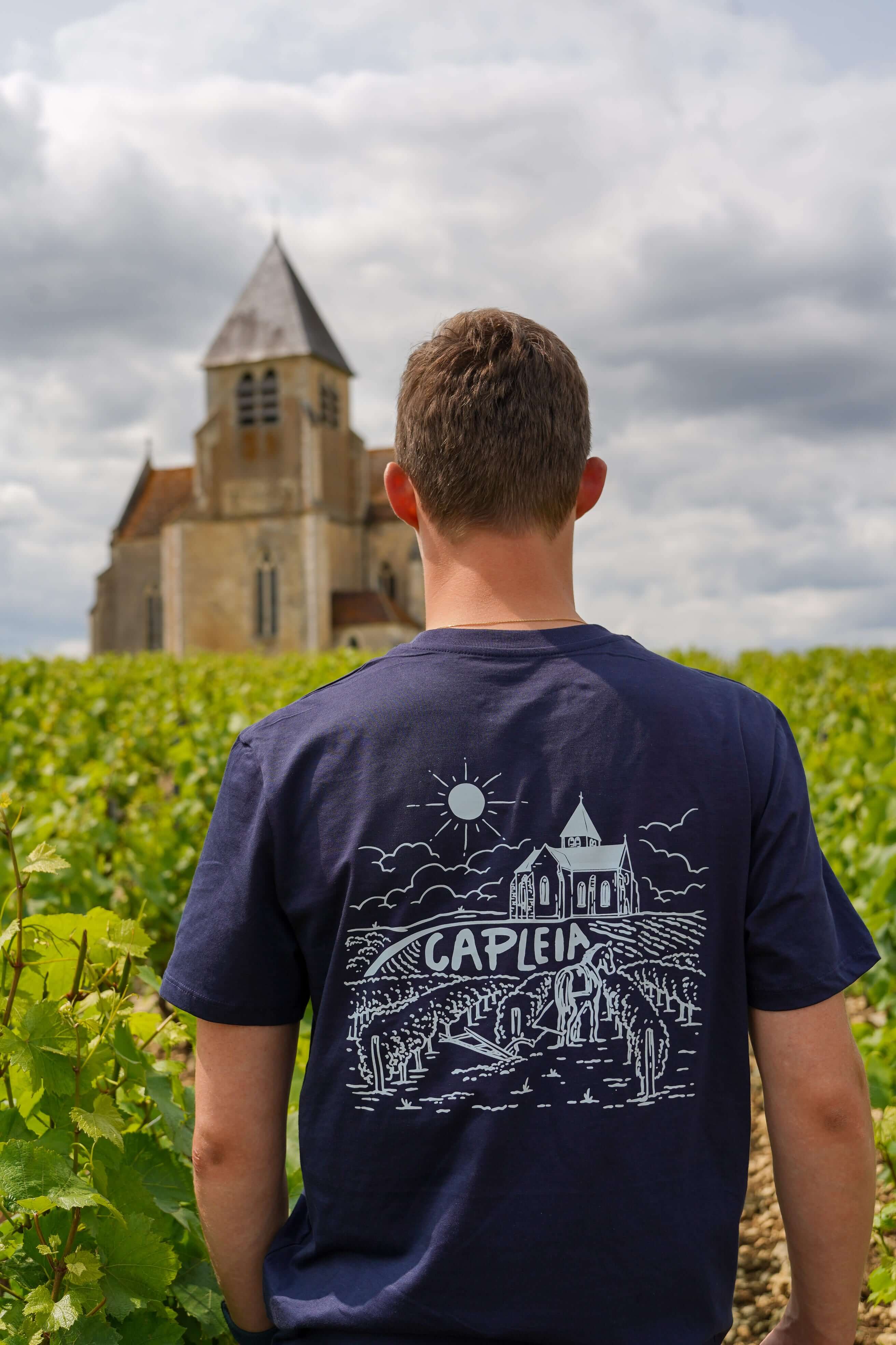 Image of Le premier labour