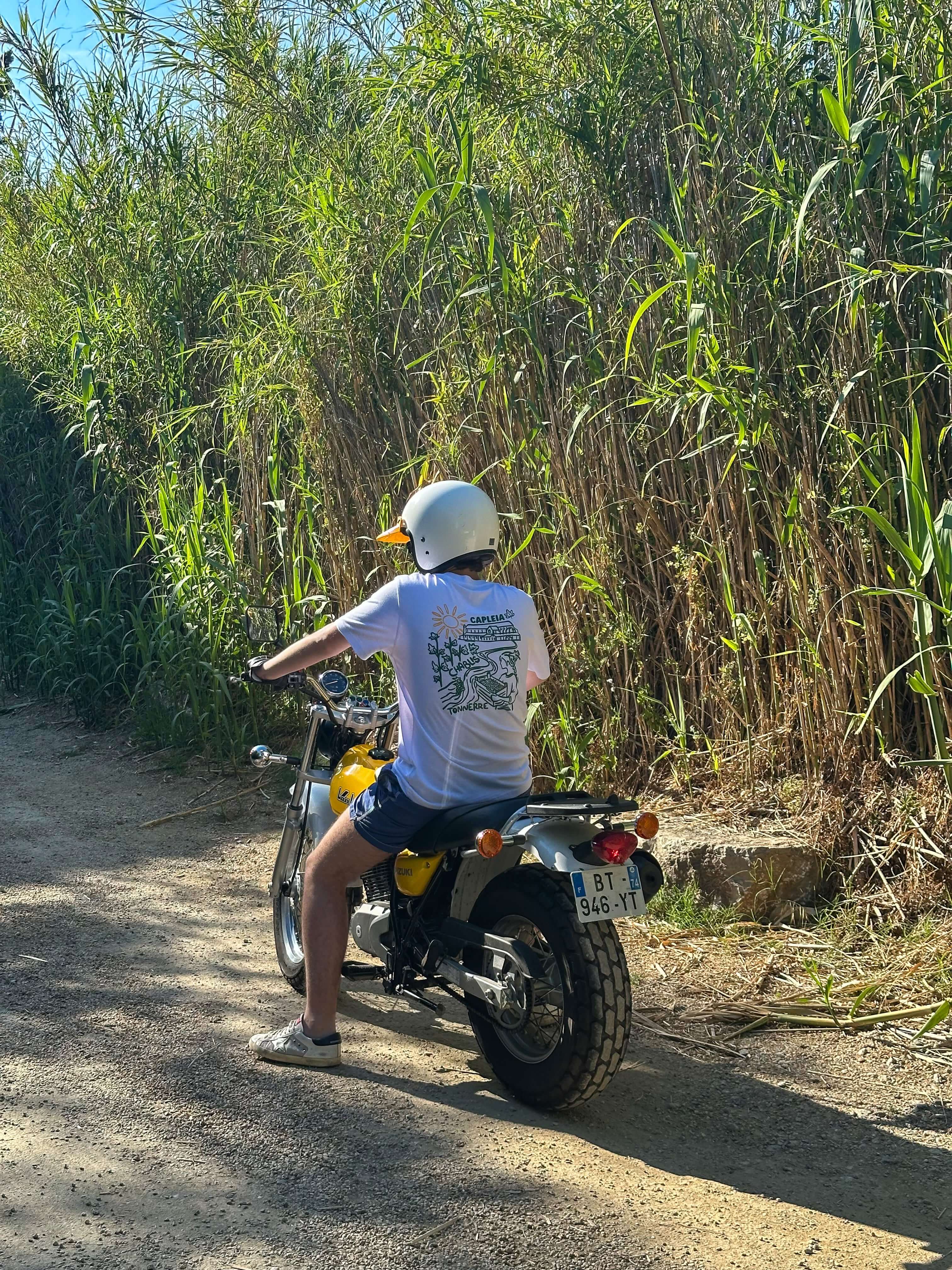 Image of L'Héritage